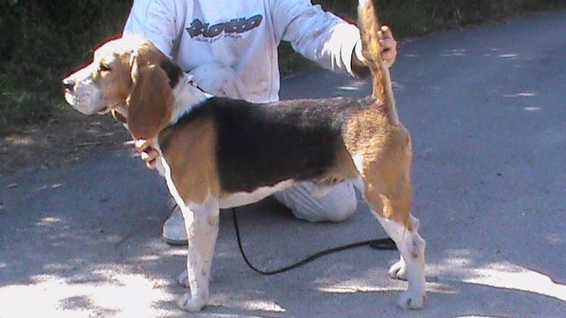 Flash de maxecan